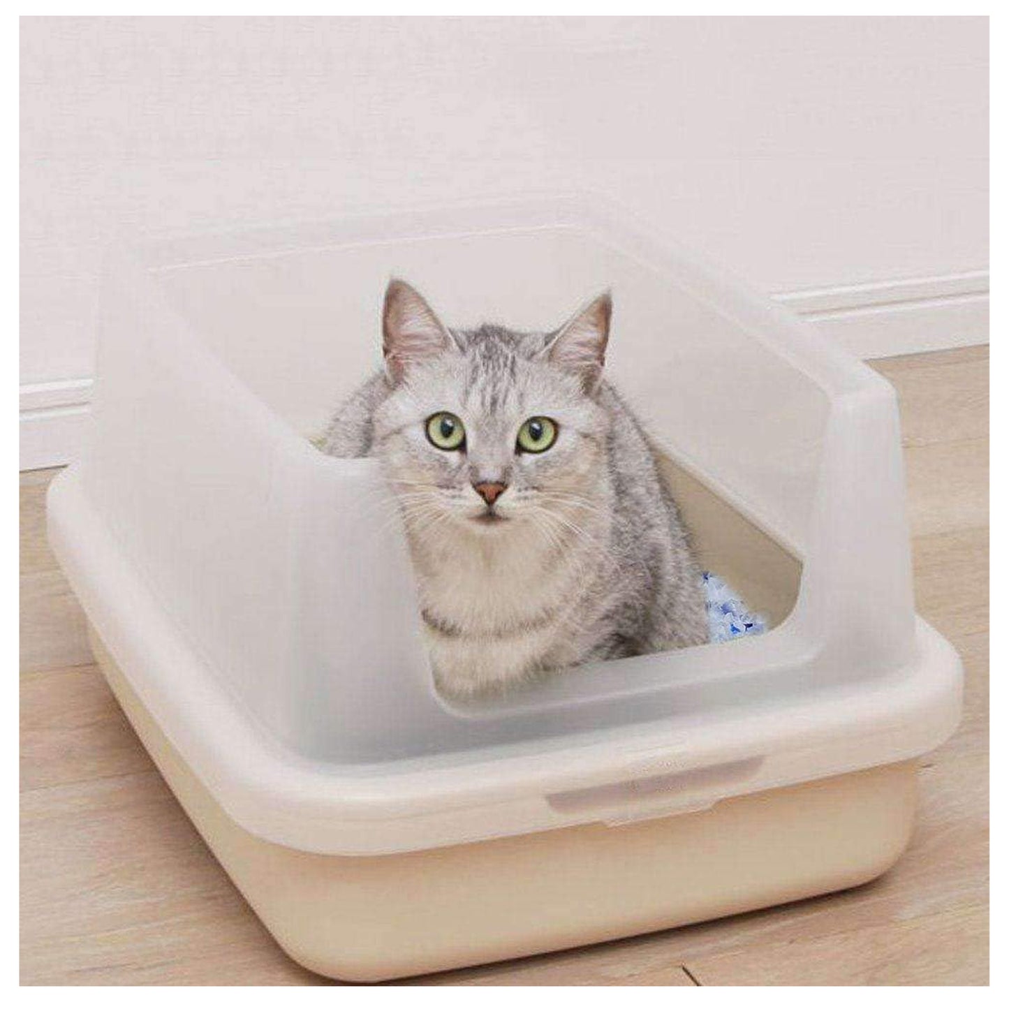 BPS-3200 3.8 L Arena de Sílice para Gatos Arena Blanco Fresco Mascotas Cat Litter