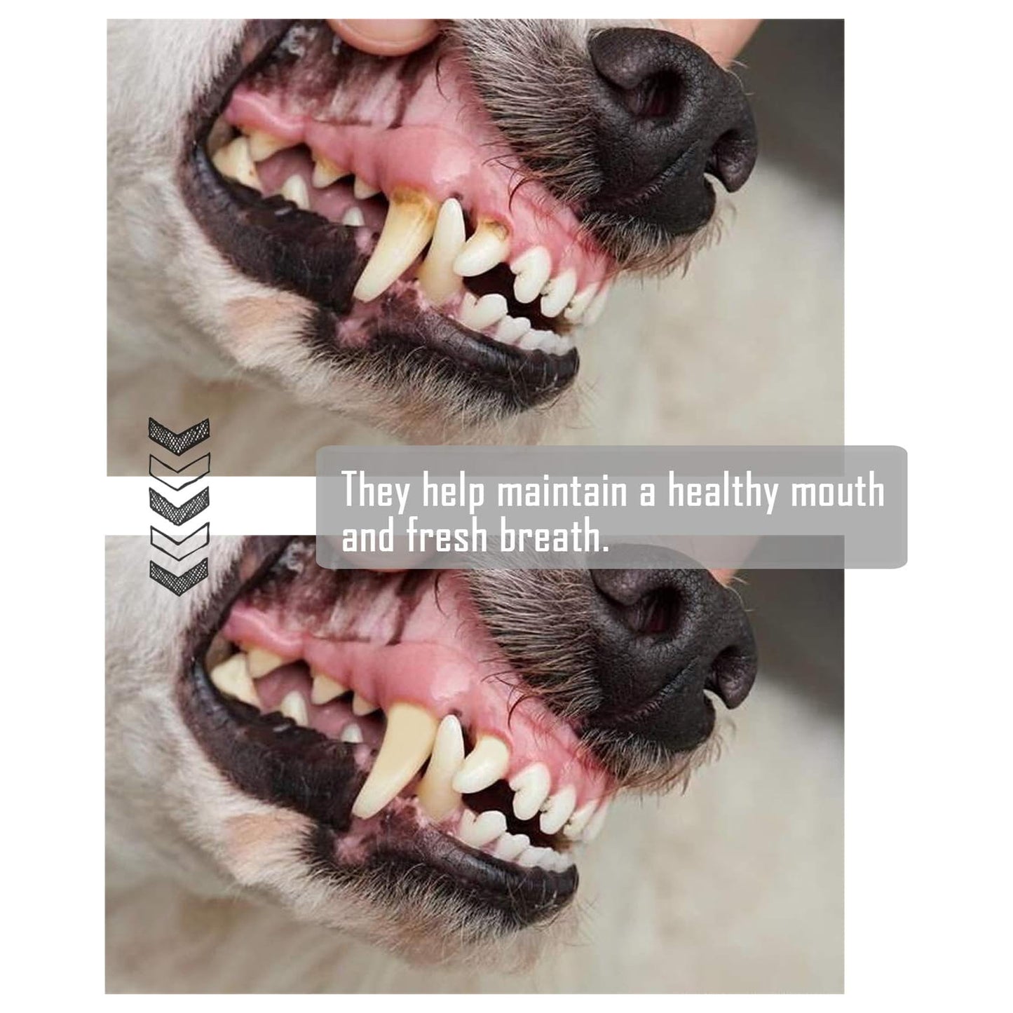Bps Hueso Nudo Prensado Stick para Perros Piel Vacuno Fortalecedor de Dientes Stick Dental Dog Snack