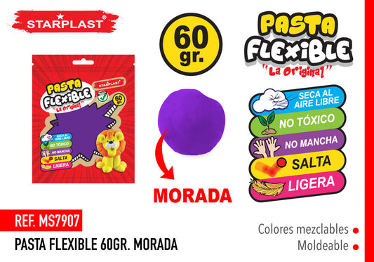 Pasta Flexible 60Gr Color Morado